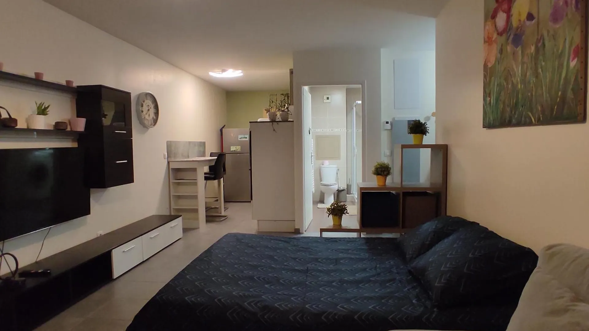 Apartment Studio L'Essentiel Chambery-le-Vieux